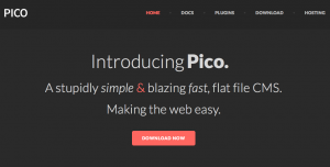 Pico website screenshot